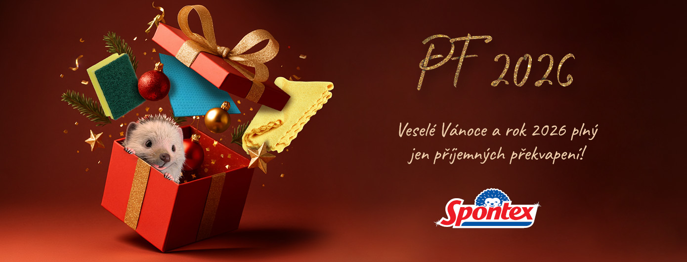 Pomocníci pro každý úklid